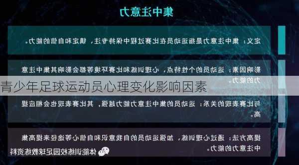 青少年足球运动员心理变化影响因素