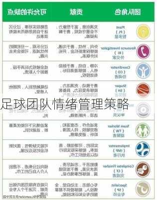 足球团队情绪管理策略