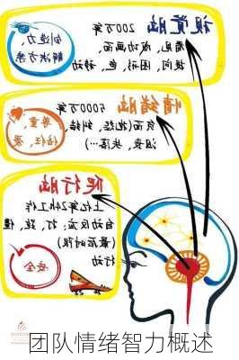 团队情绪智力概述