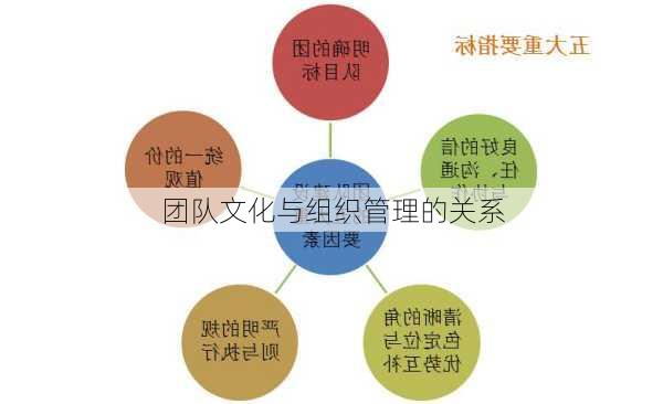 团队文化与组织管理的关系