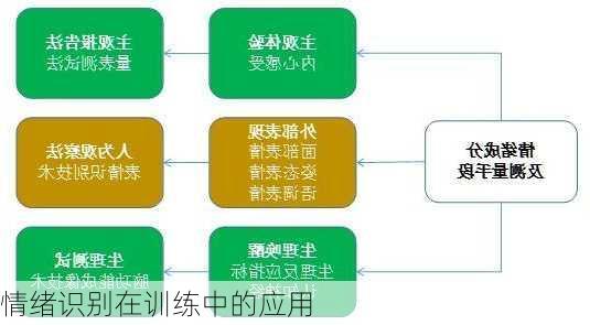 情绪识别在训练中的应用