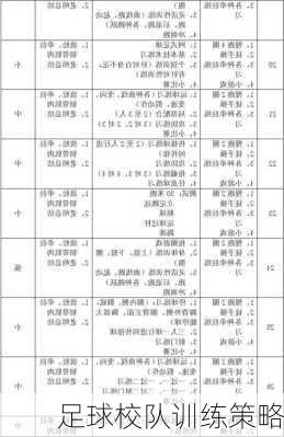 足球校队训练策略
