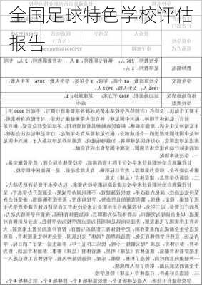 全国足球特色学校评估报告