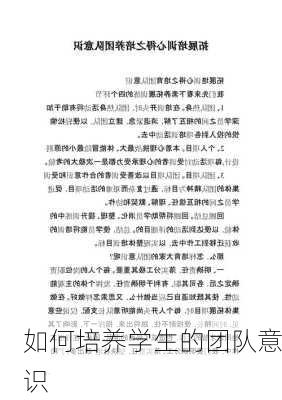 如何培养学生的团队意识