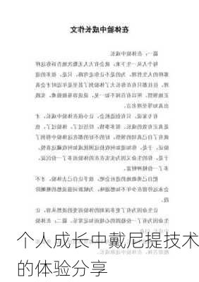 个人成长中戴尼提技术的体验分享