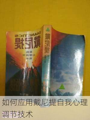 如何应用戴尼提自我心理调节技术