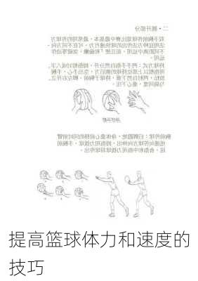 提高篮球体力和速度的技巧