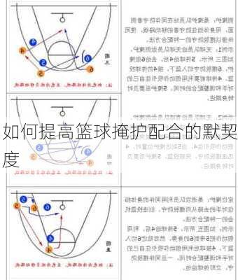 如何提高篮球掩护配合的默契度