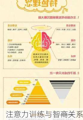 注意力训练与智商关系