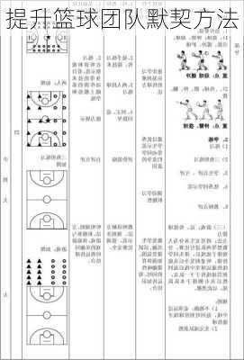 提升篮球团队默契方法