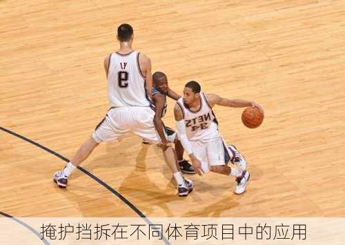 掩护挡拆在不同体育项目中的应用