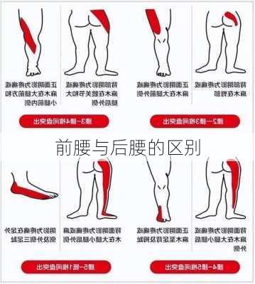 前腰与后腰的区别