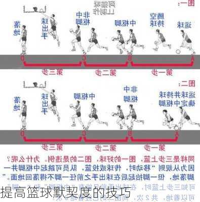 提高篮球默契度的技巧