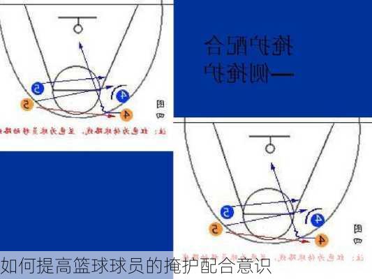 如何提高篮球球员的掩护配合意识