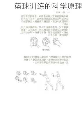篮球训练的科学原理