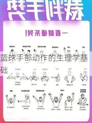 篮球手部动作的生理学基础