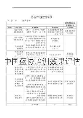 中国篮协培训效果评估