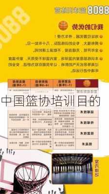 中国篮协培训目的