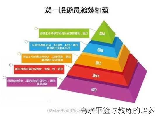 高水平篮球教练的培养