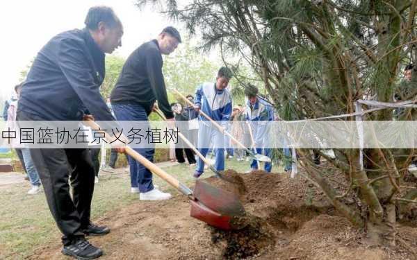 中国篮协在京义务植树