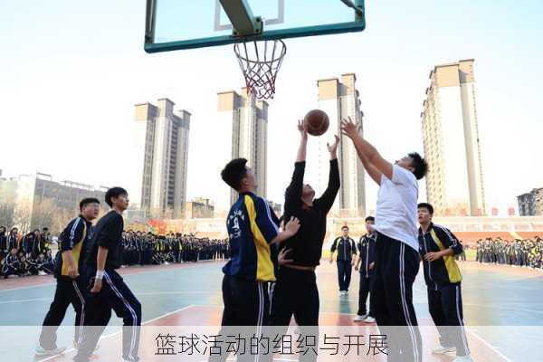 篮球活动的组织与开展
