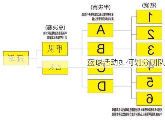 篮球活动如何划分团队