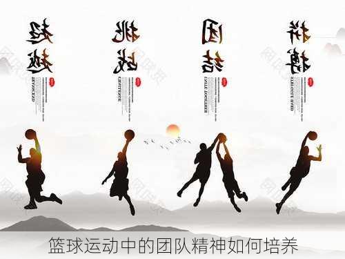 篮球运动中的团队精神如何培养