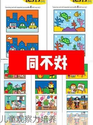 儿童观察力培养