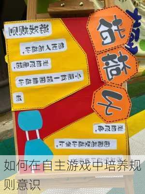 如何在自主游戏中培养规则意识