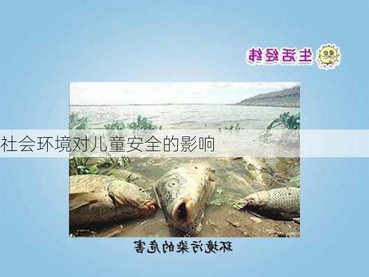社会环境对儿童安全的影响