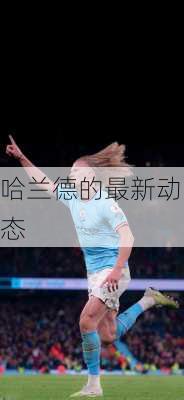 哈兰德的最新动态