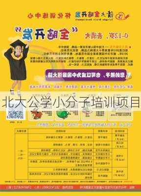 北大公学小分子培训项目
