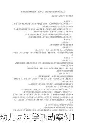 幼儿园科学活动案例1