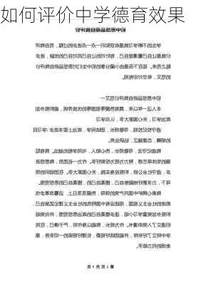 如何评价中学德育效果