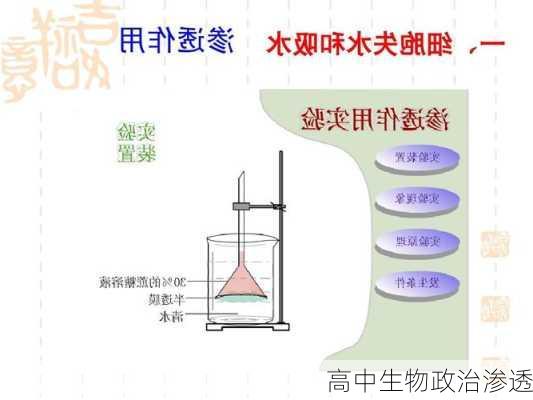 高中生物政治渗透