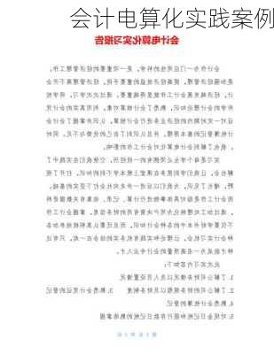 会计电算化实践案例