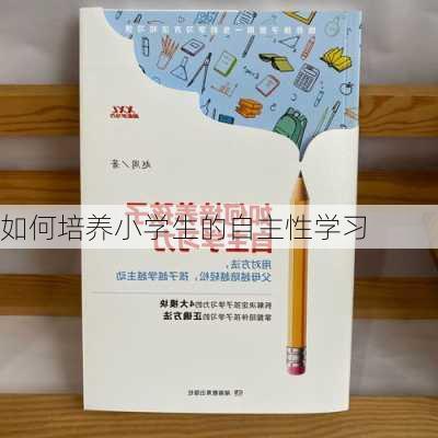 如何培养小学生的自主性学习