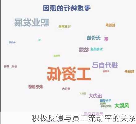 积极反馈与员工流动率的关系