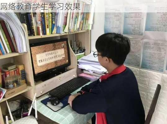 网络教育学生学习效果