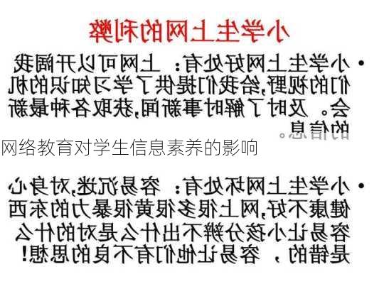 网络教育对学生信息素养的影响