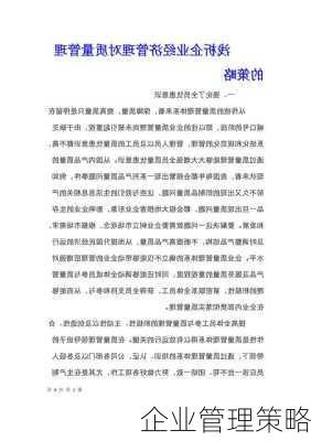 企业管理策略