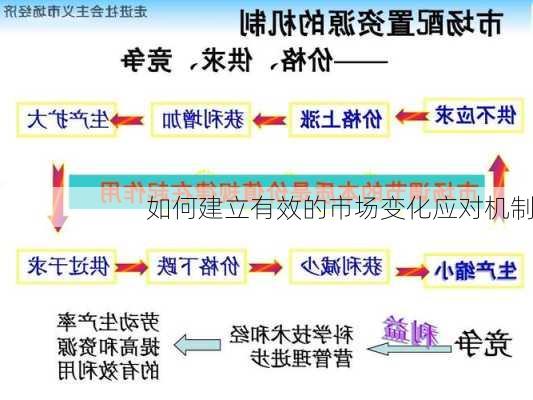 如何建立有效的市场变化应对机制