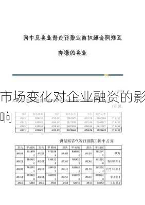 市场变化对企业融资的影响