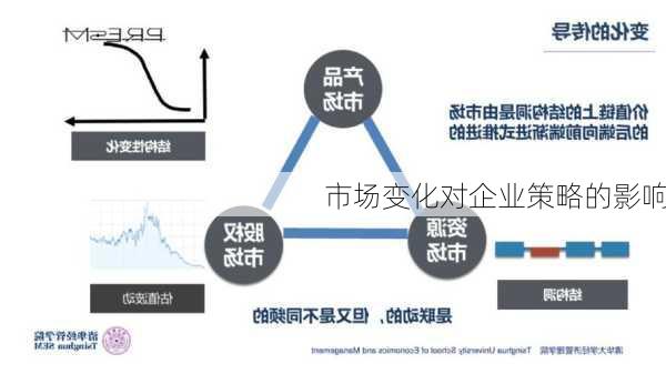 市场变化对企业策略的影响