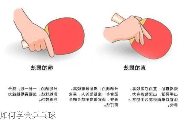 如何学会乒乓球