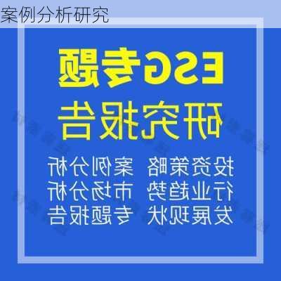 案例分析研究