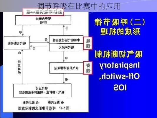 调节呼吸在比赛中的应用