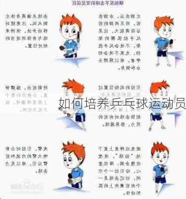 如何培养乒乓球运动员