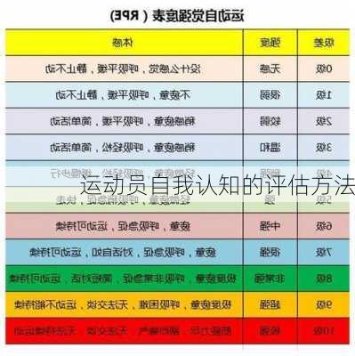 运动员自我认知的评估方法
