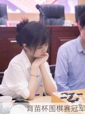 育苗杯围棋赛冠军